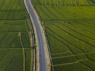 Hohe Winkelansicht einer leeren Straße inmitten eines landwirtschaftlichen Feldes - CAVF52687