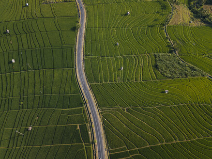 Luftaufnahme einer leeren Straße inmitten eines landwirtschaftlichen Feldes - CAVF52688