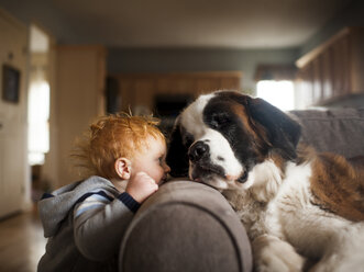 Baby-Junge spielt mit Hund im Wohnzimmer zu Hause - CAVF52693