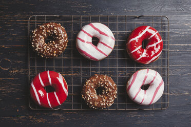 Draufsicht auf bunte Donuts auf dem Kühlregal - CAVF52696