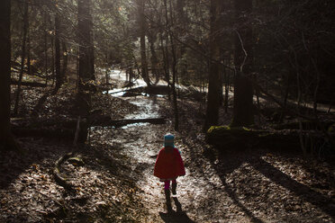 Rear view of girl with red cape walking in forest - CAVF52707