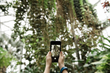 Cropped hands of boy photographing trees at greenhouse - CAVF52717