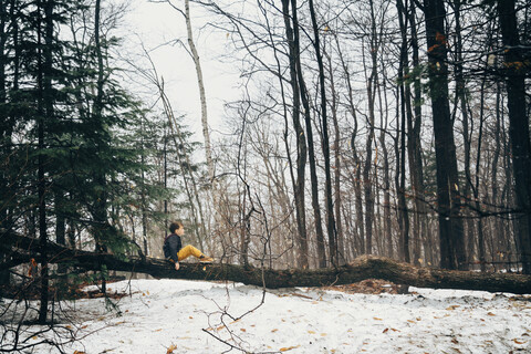 Seitenansicht eines Jungen, der im Winter auf einem umgestürzten Baum im Wald sitzt, lizenzfreies Stockfoto
