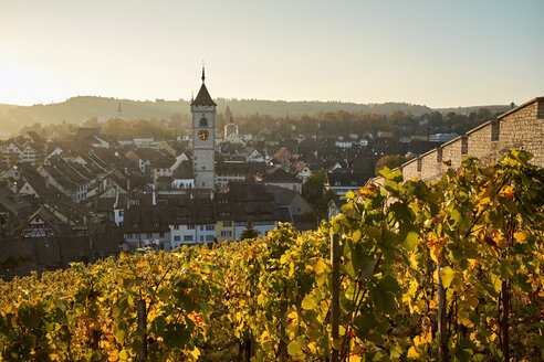 Schweiz, Kanton Schaffhausen, Schaffhausen, Altstadt, Blick vom Weinberg Munot - ELF01935