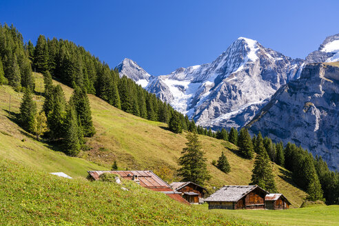 Schweiz, Berner Oberland, Birg, Blumental bei Mürren - STSF01781