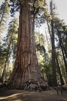 USA, Kalifornien, Sequoia National Park, Mammutbaum 'Präsident' und Paar - FCF01532