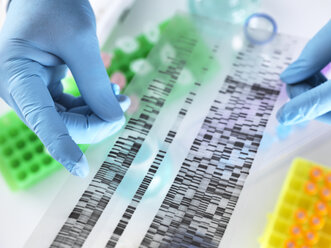 Cropped hands of scientist holding DNA gel while working in laboratory - CAVF52745