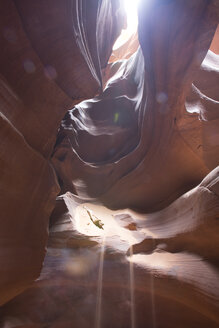 USA, Arizona, Page, Antelope Canyon - FCF01551