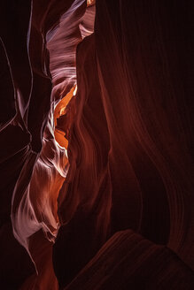 USA, Arizona, Page, Antelope Canyons, Upper Antelope Canyon - FCF01552