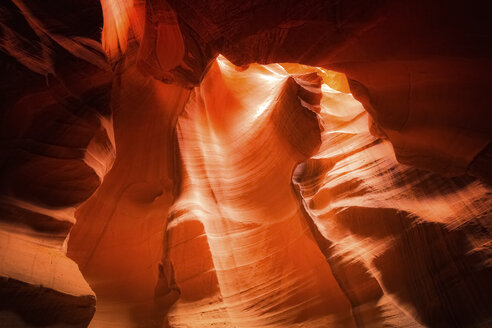 USA, Arizona, Page, Antelope Canyons, Upper Antelope Canyon - FCF01554