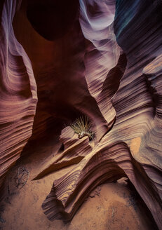 USA, Arizona, Page, Rattlesnake Canyon - FCF01559