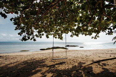 Leere Schaukel hängt an einem Baum am Strand gegen den Himmel an einem sonnigen Tag - CAVF52941