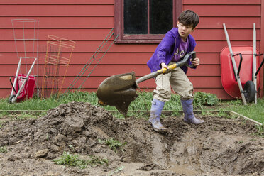 Junge gräbt Feld mit Spaten bei der Gartenarbeit im Hinterhof - CAVF53029