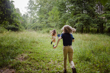 Rückansicht von Geschwistern, die auf einem grasbewachsenen Feld im Wald laufen - CAVF53030