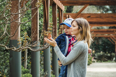 Mother carrying son while showing him branches at park - CAVF53042