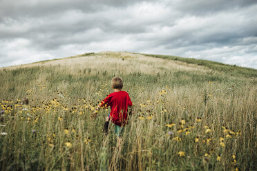 Rückansicht eines Jungen, der auf einem grasbewachsenen Feld gegen einen bewölkten Himmel läuft - CAVF53063