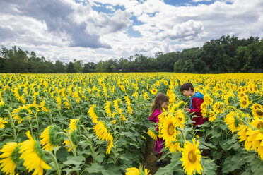 Geschwister stehen bei Sonnenblumen auf dem Bauernhof gegen bewölkten Himmel - CAVF53152