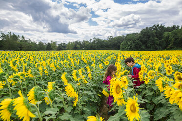 Siblings standing by sunflowers at farm against cloudy sky - CAVF53152