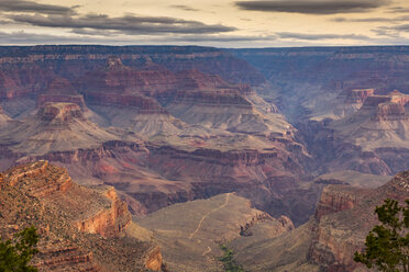 USA, Arizona, Grand Canyon National Park, Grand Canyon am Abend - FCF01573