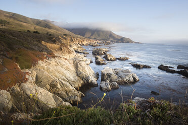 USA, Coast at highway 1 - FCF01577