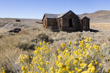 USA, Kalifornien, Sierra Nevada, Bodie State Historic Park, verlassenes Holzhaus - FCF01595