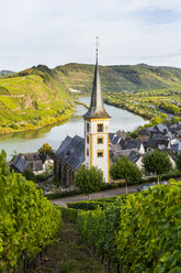 Deutschland, Rheinland-Pfalz, Weinberge oberhalb von Bremm an der Mosel - RUNF00130