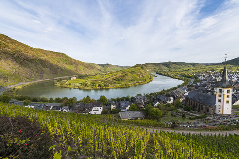 Deutschland, Rheinland-Pfalz, Weinberge oberhalb von Bremm an der Mosel - RUNF00135