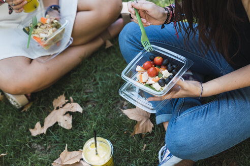 Freundinnen, die in einem Park sitzen und Salat essen - KKAF02873