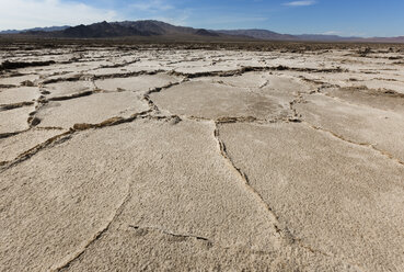 USA, Kalifornien, Joshua Tree National Park, Salzpfanne - FCF01612