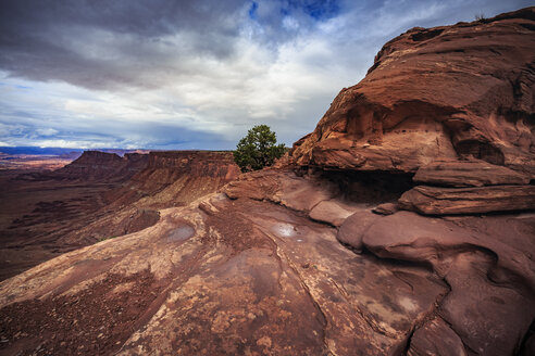 USA, Utah, Canyonlands-Nationalpark, Die Nadeln, Aussicht - FCF01616