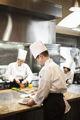 A crew of chef's working in a commercial kitchen, - MINF09293