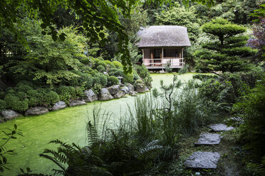 Blick auf eine kleine strohgedeckte Hütte zwischen Bäumen in einem japanischen Teegarten mit einem kleinen Weg entlang eines Teichs. - MINF09480