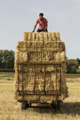 Landwirt beim Strohballenpressen, auf dem Anhänger stehend, auf einem Stapel Strohballen. - MINF09489