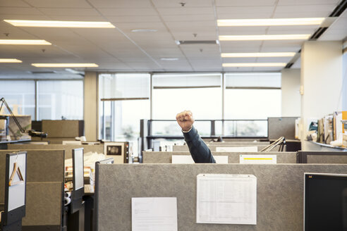 A view of cubicles in an office with a person raising their fist. - MINF09501