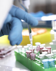 Cropped hand of scientist pipetting sample into eppendorf vials in laboratory - CAVF53184