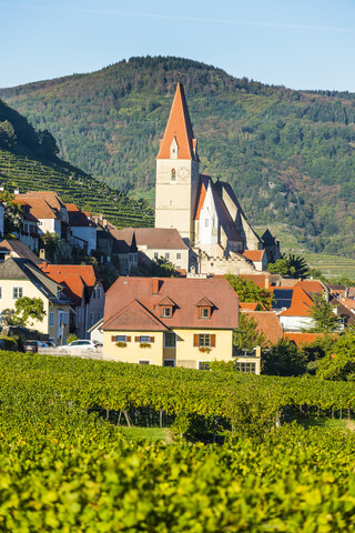 Österreich, Wachau, Pfarrkirche Mariae Himmelfahrt in Weißenkirchen in den Weinbergen an der Donau, lizenzfreies Stockfoto
