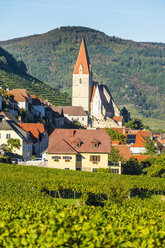 Austria, Wachau, parish church Mariae Himmelfahrt in Weissenkirchen in the vineyards on the Danube - RUNF00152