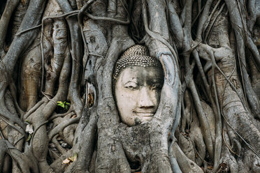 Thailand, Ayutthaya, Buddhakopf zwischen Baumwurzeln im Wat Mahathat - GEMF02462