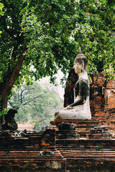 Thailand, Ayutthaya, Buddha-Statue umgeben von Backsteinpagoden im Wat Mahathat - GEMF02470