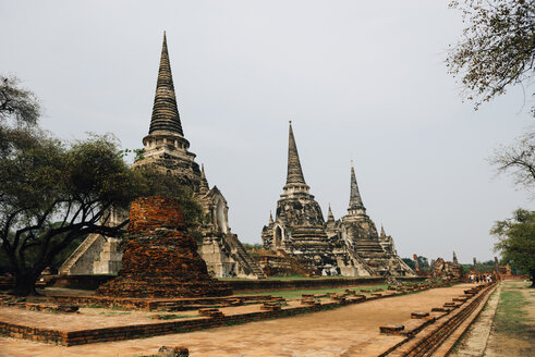 Thailand, Ayutthaya, Antike Ruinen des Wat Mahathat-Tempels - GEMF02488