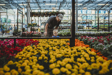 Vater mit Sohn bei der Betrachtung von Blumen im Gewächshaus - CAVF53375