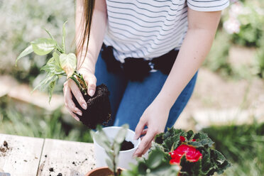 Mittelteil einer Frau, die eine Pflanze eintopft, während sie an einem Tisch im Garten steht - CAVF53383