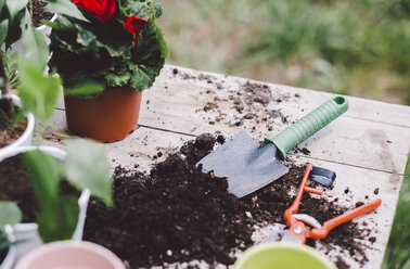 High angle view of dirt with gardening equipment and plants of wooden table in yard - CAVF53389