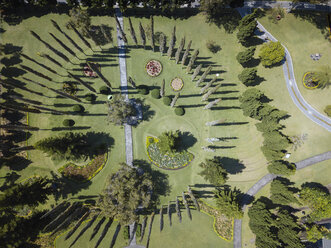 High angle view of trees growing at park during sunny day - CAVF53424