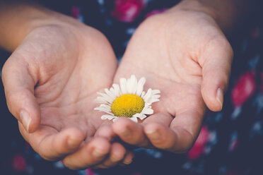 Mittelteil eines Mädchens, das eine Blume hält, während es im Freien sitzt - CAVF53471