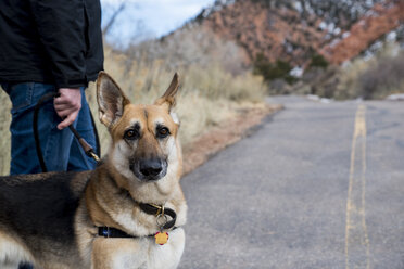 Portrait of dog with man on country road at desert - CAVF53503