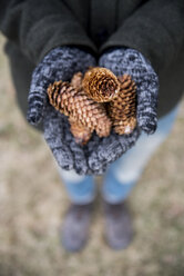 Low section of man wearing gloves holding pine cones while standing on field - CAVF53504