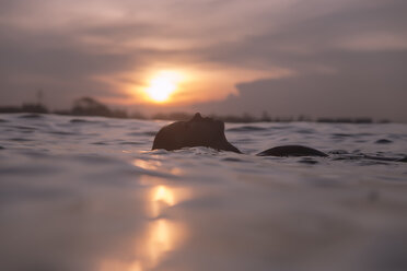 Unbekümmerte junge Frau schwimmt im Meer gegen den Himmel bei Sonnenuntergang - CAVF53668