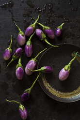 High angle view of eggplants on wet metallic table - CAVF53676