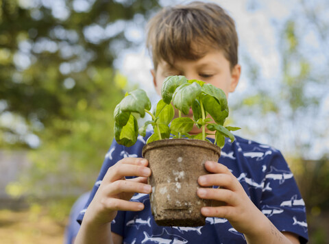 Junge hält Topfpflanze bei der Gartenarbeit im Hinterhof, lizenzfreies Stockfoto